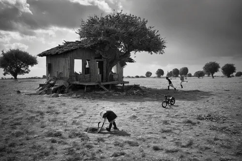 nomadic children,boy and dog,olive grove,black landscape,photographing children,olive tree,village life,argan trees,camargue,unhoused,human settlement,monochrome photography,alentejo,dog house,argan tree,rural landscape,andreas cross,children playing,altiplano,children play,Photography,Black and white photography,Black and White Photography 02