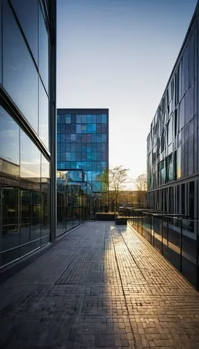 windesheim,hogeschool,glass facade,njitap,glass facades,embl,abertay,glass building,epfl,radboud,bicocca,universitet,swinburne,zoetermeer,rikshospitalet,lassonde,glass wall,audencia,hallward,essec,Photography,Black and white photography,Black and White Photography 03