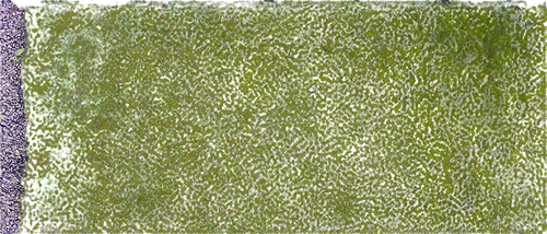 ground cover,block of grass,groundcovers,groundcover,azolla,green border,seamless texture,landcover,moss landscape,panorama from the top of grass,green lawn,grass,astroturf,golf course grass,pavement,grass roof,gras,liverwort,lawn,artificial grass,Photography,Documentary Photography,Documentary Photography 34