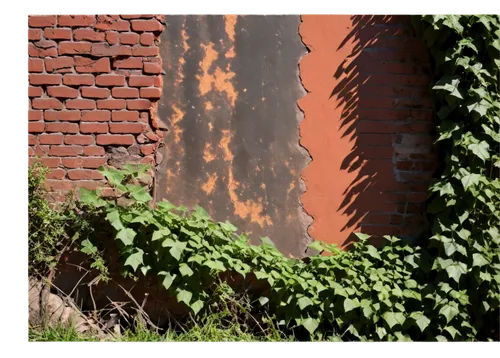 red bricks,red brick wall,brick background,wall of bricks,red brick,espalier,brickwork,old wall,leaves frame,terracotta tiles,wall,old brick building,ivy frame,vines,compound wall,terracotta,brick wall background,house wall,shutters,rustication,Photography,Documentary Photography,Documentary Photography 06