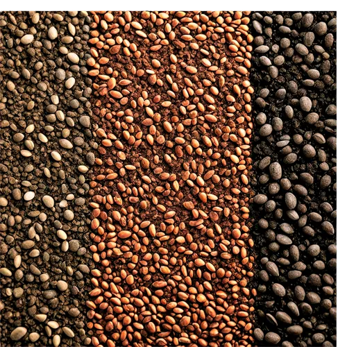 coffee beans,roasted coffee beans,robusta,coffee background,coffee seeds,java beans,arabica,peppercorns,coffee roasting,peaberry,javabeans,black pepper,sidamo,legumes,lentils,beanballs,urad,grains,caffari,espressos,Art,Classical Oil Painting,Classical Oil Painting 44