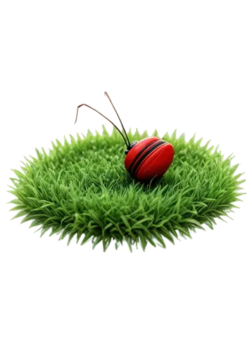 artificial grass,grass golf ball,herbe,turfgrass,quail grass,greenkeeper,grassby,nature background,wheat germ grass,robotic lawnmower,golf course grass,golf lawn,green grass,biopesticides,greenskeeper,golf course background,green background,halm of grass,divot,groundskeeping,Illustration,Vector,Vector 20