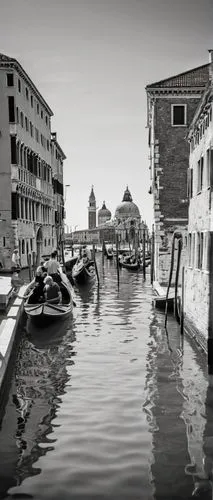 Venice Biennale of Architecture, daytime, sunny, canal, water reflection, old stone bridge, historic buildings, ornate balconies, grand canal palaces, modern art installations, wooden exhibition panel