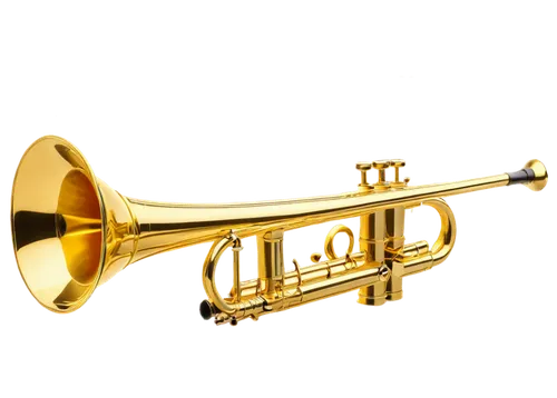 gold trumpet,trumpet gold,saxhorn,brass instrument,trumpet,climbing trumpet,flugelhorn,tuba,instrument trumpet,fanfare horn,american climbing trumpet,euphonium,trumpet of jericho,trumpet shaped,drawing trumpet,old trumpet,wind instrument,stallybrass,sousaphone,trombone,Illustration,Realistic Fantasy,Realistic Fantasy 06