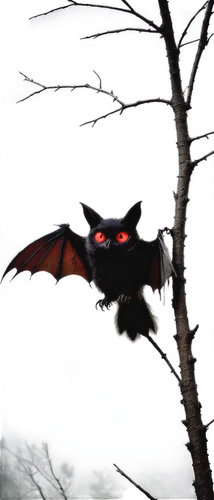 darigan,chiroptera,flying fox,foxbat,tropical bat,halloween frame,torbat,haunter,hanging bat,fruit bat,jarusombat,myotis,bat,cynder,dutchbat,halloween background,pipistrelle,zubat,bats,noctuid,Illustration,Abstract Fantasy,Abstract Fantasy 09