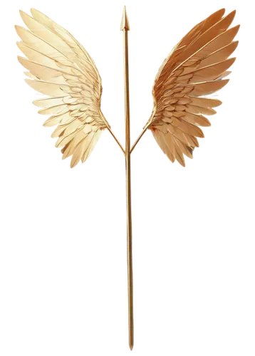 weathervane design,decorative arrows,prince of wales feathers,winged,wing,angel wing,gold spangle,winged heart,wind vane,feather pen,matchstick,wooden arrow sign,wings,bird wing,caduceus,arrow logo,wand gold,phoenix,symbol of good luck,angel wings,Conceptual Art,Oil color,Oil Color 07