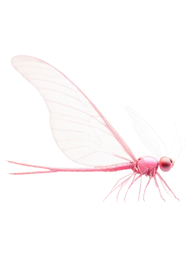 Delicate wings, transparent pink, subtle shimmer, veins visible, slender antennae, compound eyes, soft focus, gentle fluttering, profile view, 3/4 composition, warm lighting, pastel color tone, dreamy