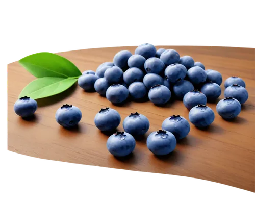 blueberries,bilberries,bilberry,johannsi berries,berries,berry fruit,blue grapes,goose berries,many berries,wolfberries,blueberry,blue spheres,beautyberry,berries fruit,saulsberry,maghaberry,marberry,dewberry,berrys,wild berries,Illustration,Vector,Vector 20