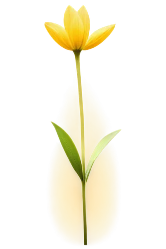 Yellow flower, bright petals, delicate stem, green leaves, solo, close-up, soft focus, warm lighting, shallow depth of field, vibrant color tone, 3/4 composition, gentle blur effect.,yellow rose backg