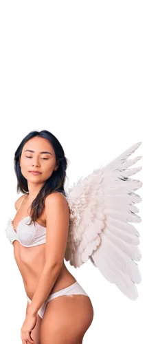 png transparent,angel wings,angel girl,angel wing,angel,bird png,angel figure,fallen angel,guardian angel,crying angel,business angel,angels,winged,stone angel,tomtit,angle,black angel,greer the angel,wood angels,chicken wings,Illustration,Paper based,Paper Based 19