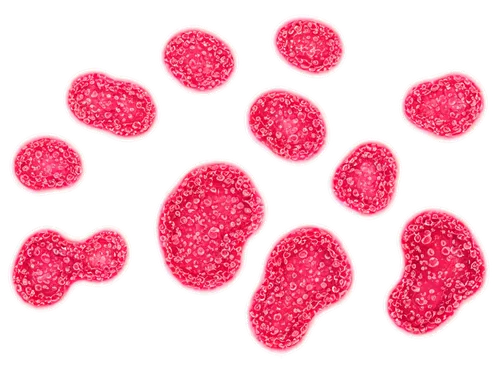 paw print,spherules,thumbprints,paw prints,pawprint,quark raspberries,wolfberries,puffy hearts,lychees,ufdots,pawprints,liposomes,raspberries,neon valentine hearts,lipoprotein,microspheres,thumbprint,lipoproteins,toxoplasma,apolipoprotein,Photography,Documentary Photography,Documentary Photography 06