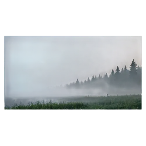 foggy landscape,foggy forest,dense fog,mist,fog,bavarian forest,ground fog,fog banks,early fog,veil fog,morning fog,ore mountains,temperate coniferous forest,north american fog,morning mist,emission fog,foggy mountain,autumn fog,the fog,high fog,Photography,General,Realistic