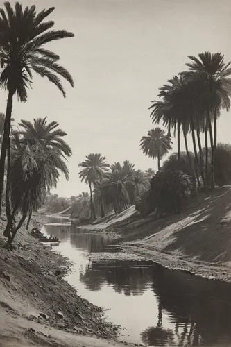 Associate Product EGYPT. Village of Shinbab on the Lower Nile 1912 old antique print picture,date palms,qasr al watan,river nile,heliopolis,palm pasture,nile river,two palms,qasr al kharrana,palm fiel