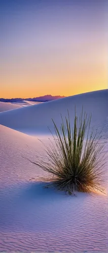 Sunset at White Sands National Monument,white sands national monument,white sands dunes,dune grass,desert plant,desert desert landscape,desert landscape,crescent dunes,argentina desert,south australia