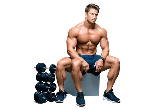 pair of dumbbells,dumbbells,kettlebell,kettlebells,clenbuterol,dumbbell,muscularity,body building,muscleman,muscadelle,muscle icon,stanozolol,medicine ball,muscularly,musculature,workout items,triceps,foam roll,musclemen,derivable,Conceptual Art,Daily,Daily 13