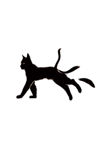 constellation wolf,skyclan,muybridge,mouse silhouette,flying dog,shadowclan,kokopelli,dog frame,dog running,foxhunter,howling wolf,barghuti,weathervane,windclan,animal silhouettes,mammal,lascaux,barghest,vulpecula,werewolve,Photography,Fashion Photography,Fashion Photography 04