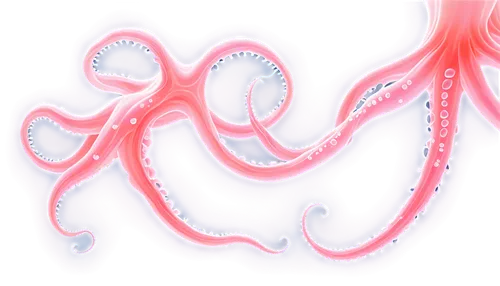 pink octopus,octopus vector graphic,tentacled,tentacular,tentaculata,tentacles,cephalopod,octopus tentacles,pink vector,octo,fun octopus,tentacle,octopus,pulpo,octopussy,octopuses,illithid,polychaetes,cephalopods,ophiusa,Conceptual Art,Oil color,Oil Color 22