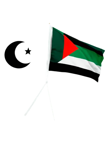 Pakistan flag, Palestine flag, side by side, waving gently, national symbol, green and white stripes, crescent moon, five-pointed star, red triangle, black white and green colors, detailed fabric text