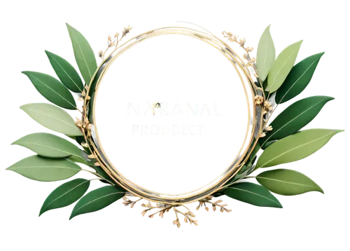 Natural beauty product logo, round shape, earthy tones, green leaves, flowers blooming, gentle curves, minimalist design, 3D emblem, shiny surface, soft lighting, warm color tone, close-up shot, cente