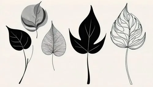 leaf icons,leaf drawing,botanical line art,dried leaves,water-leaf family,leaf background,four-leaf,magnolia leaf,embroidered leaves,fan leaf,skeleton leaves,leaf border,walnut leaf,lotus leaves,mape leaf,leaf,watercolor leaves,leaf structure,jungle leaf,skeleton leaf,Illustration,Black and White,Black and White 32