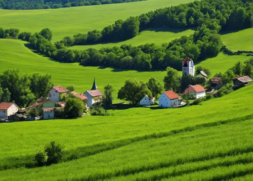 styria,ore mountains,green landscape,bavarian swabia,thuringia,south bohemia,northern black forest,odenwald,slovakia,allgäu,bucovina,bavaria,rolling hills,transylvania,alsace,transilvania,appenzell,allgäu kässspatzen,countryside,slovenia,Photography,Documentary Photography,Documentary Photography 10