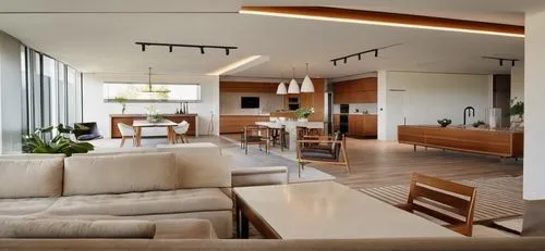 modern living room,interior modern design,penthouse apartment,modern kitchen interior,apartment lounge,modern decor,modern kitchen,contemporary decor,mid century modern,mid century house,shared apartm