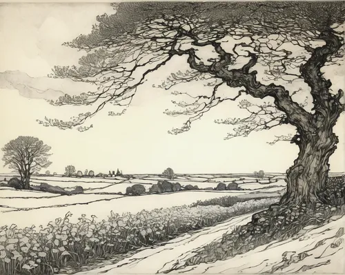 walnut trees,winter landscape,elm tree,two oaks,arthur rackham,ash tree,oak tree,copse,snow landscape,brook landscape,beech hedge,snow scene,rural landscape,chestnut heath,old gnarled oak,snow fields,exmoor,farm landscape,chestnut trees,early spring,Illustration,Retro,Retro 25