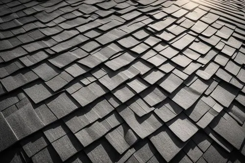 slate roof,tiles shapes,shingled,roof tiles,shingles,shingling,roof tile,herringbone,roof panels,slates,roof landscape,beinecke,house roof,structure artistic,stone pattern,metal cladding,tiled roof,paper patterns,house roofs,tessellation,Photography,Black and white photography,Black and White Photography 08