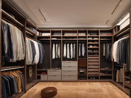 walk-in closet,closet,wardrobe,women's closet,storage cabinet,dresser,armoire,shelving,showroom,one-room,shelves,cabinetry,danish room,cupboard,boutique,drawers,organized,men's wear,modern room,interior design,Art,Artistic Painting,Artistic Painting 50