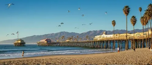 Southern California, Los Angeles, sunny day, palm trees swaying gently, clear blue sky with few white clouds, warm golden light, Santa Monica Pier in the distance, beach volleyball players in action, 