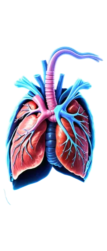 X-ray image, medical illustration, lungs affected, asbestos fibers, scarring, inflammation, pleural thickening, calcification, mesothelioma, chest X-ray, high contrast, 3/4 composition, dark backgroun