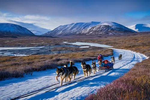 baffin island,scottish highlands,northern norway,christmas caravan,highlands,glencoe,sleigh ride,mushing,nordland,dog sled,the polar circle,icelanders,snowy mountains,christmas landscape,sleigh with reindeer,scotland,yukon territory,paine national park,eastern iceland,nomadic people,Illustration,Realistic Fantasy,Realistic Fantasy 32