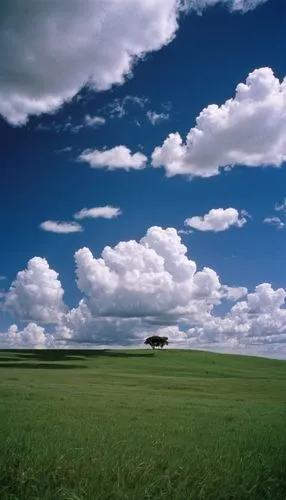 辽阔的草原，蓝天白云,windows wallpaper,lipnicki,landscape background,grasslands,meadow landscape,semipalatinsk,grassland,blue sky and clouds,kericho,blue sky and white clouds,rural landscape,single cloud,panora