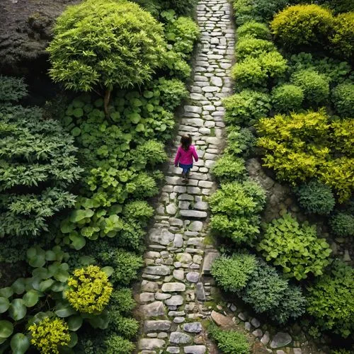 girl in the garden,little girl running,tunnel of plants,climbing garden,ollantaytambo,girl walking away,Photography,Black and white photography,Black and White Photography 01