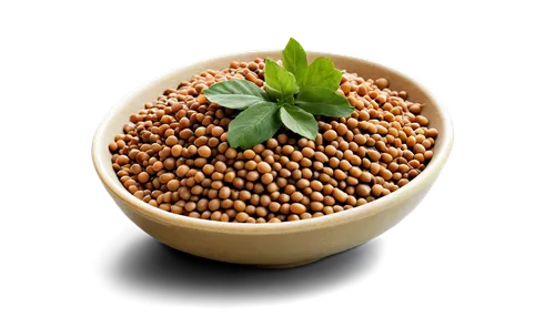 lentils,fregula,fenugreek,lentil,cowpea,soybean,peppercorn,allspice,wheatberry,legume,chia,tulsi seeds,amaranth,sorghum,soybeans,linseed,mustard seeds,buckwheat,amaranth grain,pigeon pea,Photography,Black and white photography,Black and White Photography 13