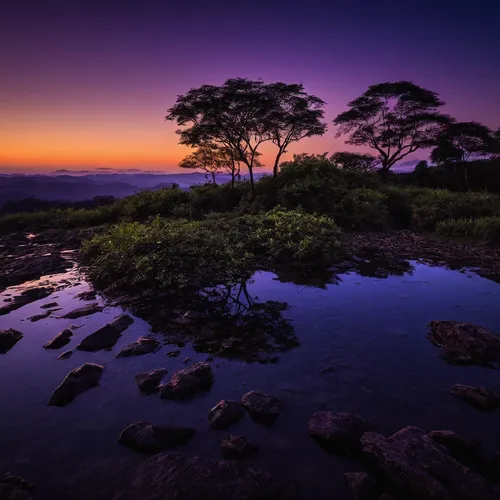 Describe the haunting beauty of Sigishoara at dusk.,purple landscape,landscape photography,lone tree,isolated tree,new south wales,japan landscape,beautiful landscape,natural landscape,natural scenery