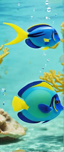 Imagine a lemon surgeonfish gracefully swimming in crystal clear waters.,lemon surgeonfish,pallet surgeonfish,lemon butterflyfish,lemon doctor fish,coral reef fish,wrasses,blue angel fish,blue stripe 