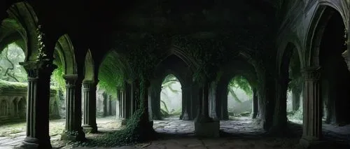 hall of the fallen,rivendell,elven forest,labyrinthian,archways,alfheim,undercroft,cloister,mirkwood,cloisters,nargothrond,undercity,diagon,sepulchres,crypts,cloistered,dandelion hall,forest chapel,cartoon video game background,haunted cathedral,Photography,Fashion Photography,Fashion Photography 05