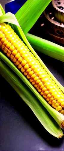 forage corn,maize,corncobs,corns,cornhusker,sweetcorn,cornstalk,corn pattern,cornelison,corn ordinary,corn,cornstalks,oldcorn,ears of corn,winter corn,ornamental corn,cornelisz,wheat ear,grain ears,green wheat,Conceptual Art,Fantasy,Fantasy 25