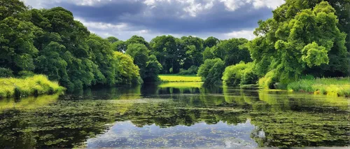 green trees with water,giverny,golf landscape,lilly pond,green landscape,weeping willow,golf course background,pond,lily pond,water hazard,mirror in the meadow,garden pond,peasholm park,reflections in water,background view nature,reflection in water,l pond,tiergarten,a small lake,river landscape,Photography,Documentary Photography,Documentary Photography 09