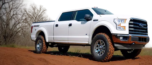 ford truck,ford,ecoboost,dually,ford 69364 w,supertruck,tundras,four wheel,dmax,truckmaker,trucklike,pick-up truck,bfgoodrich,image editing,landstar,pick up truck,austin truck,truck,four wheel drive,large trucks,Art,Classical Oil Painting,Classical Oil Painting 15