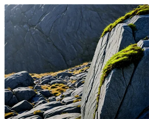 rock needle,mountain stone edge,boulders,alpine climbing,outcrop,alpine crossing,climbing rope,rock outcrop,spruce needle,split rock,cliff face,balanced boulder,rocky hills,crevasse,background with stones,dolerite rock,rocks,alpine dachsbracke,natural rope,cliffs,Illustration,Abstract Fantasy,Abstract Fantasy 09