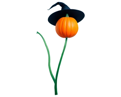 lampion flower,tulip background,pumpkin flower,orange flower,flowers png,orange lily,two tulips,orange poppy,tulip,blume,tulipe,cartoon flower,retro flower silhouette,flower illustration,neon pumpkin lantern,lantern plant,oriental lantern,orange tulips,lotus png,yellow orange tulip,Illustration,Realistic Fantasy,Realistic Fantasy 12