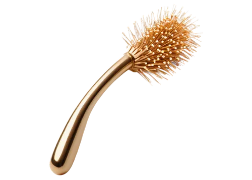 hair brush,seed-head,cosmetic brush,dish brush,management of hair loss,bristles,hairbrush,seed head,lemon beebrush,brush hook,toilet brush,new world porcupine,porcupine,enokitake,burdock,prickle,teasel,echinoderm,greater burdock,brush,Photography,General,Commercial