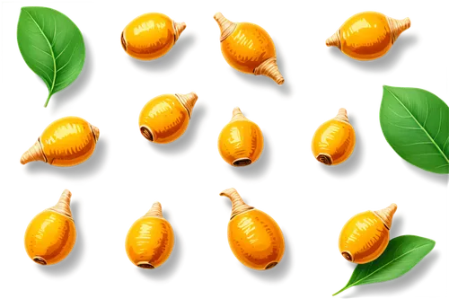 acorns,chestnut pods,capsule fruits,lemon background,chestnut fruits,pods,apricots,cardamon pods,jojoba,kumquat,argan tree,soybean,almonds,mandarins,indian almond,seeds,psidium,argan trees,physalis,allspice,Unique,Design,Sticker