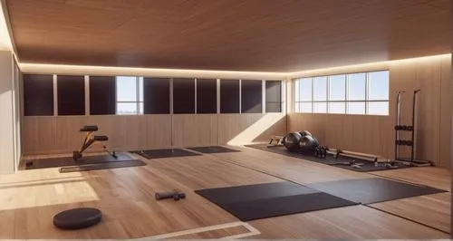 turn into a gym with exercise machines and gym balls, weights, please add all that's needed
 ,fitness room,gymnastics room,fitness center,modern room,tatami,japanese-style room,indoor cycling,3d rende