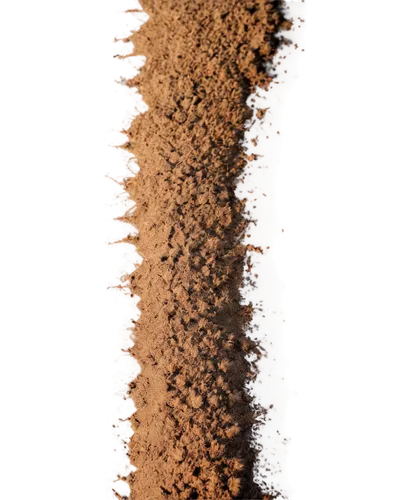 anthill,xanthorrhoea,pillar,stalagmite,termite,teliospores,penduline,dicksonia,desert coral,light cone,christmastree worms,penny tree,isolated product image,termites,lycopodium,myrmica,rusty chain,aponogeton,brown tree,ant hill,Photography,Black and white photography,Black and White Photography 02
