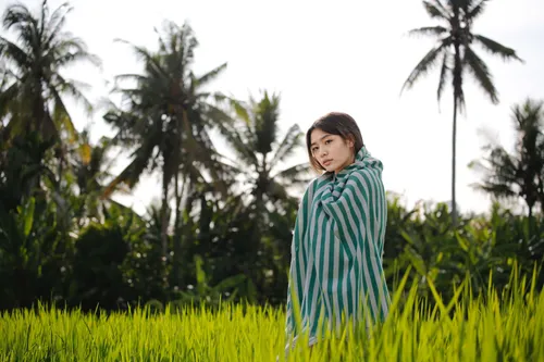 paddy field,rice cultivation,the rice field,rice field,yamada's rice fields,rice paddies,rice fields,ricefield,vietnamese woman,vietnam,kaew chao chom,ubud,paddy harvest,green fields,green grass,tona organic farm,green background,indonesian women,korat,bia hơi