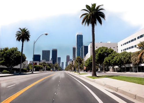 los angeles,wilshire,losangeles,angeleno,city highway,angelenos,ladwp,hollyfield,la,californie,californian,lankershim,sepulveda,beverly hills,sandag,city scape,caltrans,streetscapes,street view,californica,Conceptual Art,Graffiti Art,Graffiti Art 11