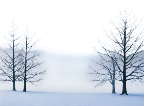 snow trees,winter background,winter forest,snow landscape,winter landscape,christmas snowy background,snow scene,winterland,winterreise,snowy landscape,birch tree background,snowflake background,winter dream,winter tree,snow tree,treemsnow,row of trees,hoarfrost,wintry,evergreen trees,Art,Artistic Painting,Artistic Painting 08